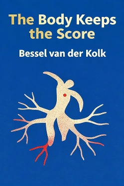 The Body Keeps the Score